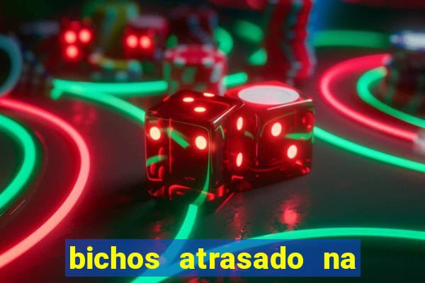 bichos atrasado na loteria dos sonhos